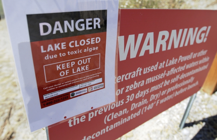US agency studies how to detect algae bloom outbreaks