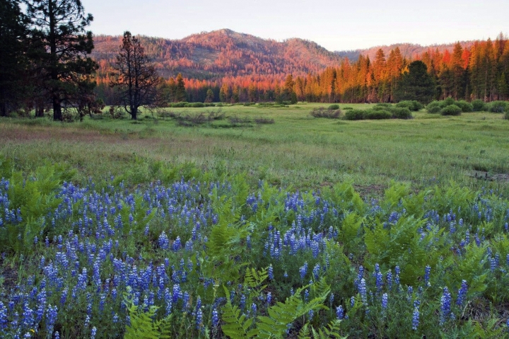 APNewsBreak: Legality of Yosemite park expansion disputed