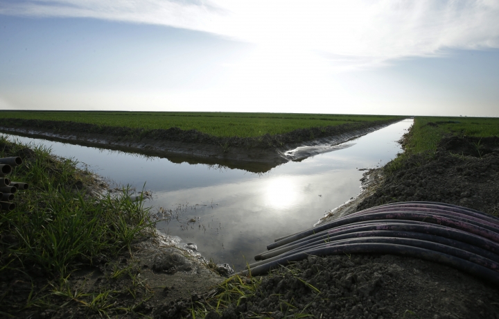 California water tunnels would need US funding, analyst says