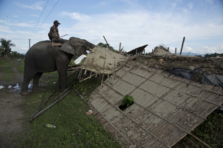 2 killed while protesting evictions near Indian rhino park