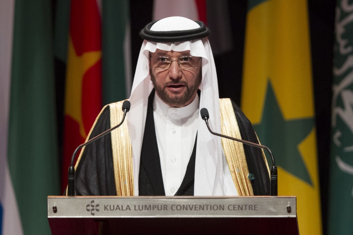 OIC hopes to send team to Myanmar to study Rohingya's plight