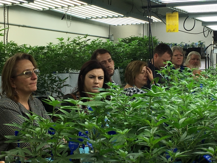 Colorado's pot lessons: Prepare for no help, a lot of smell