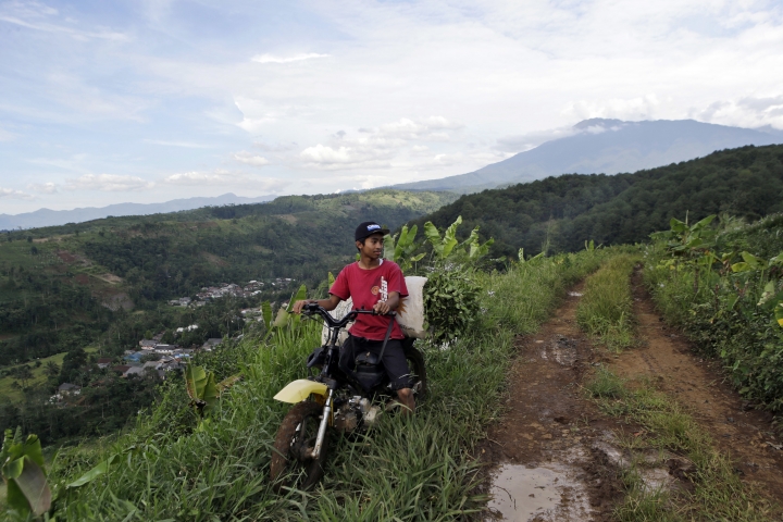 Fears for Indonesian park's rare species as Trump town rises