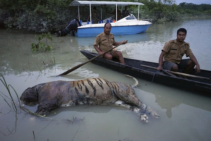 At least 950 killed in South Asia's annual monsoon floods