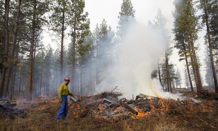 Forest-thinning project saved homes but highlights obstacles