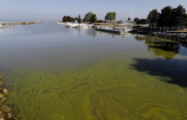 Toxic algae flourishes despite vast sums spent to prevent it