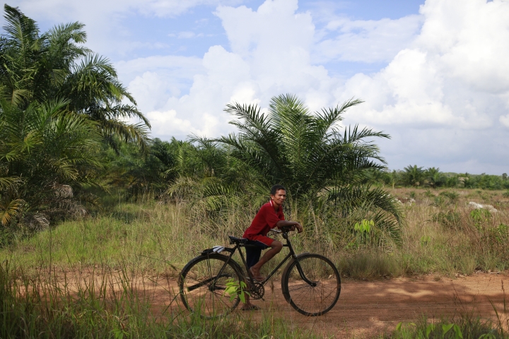 Pulp giant stirs new conflicts with Indonesian villagers