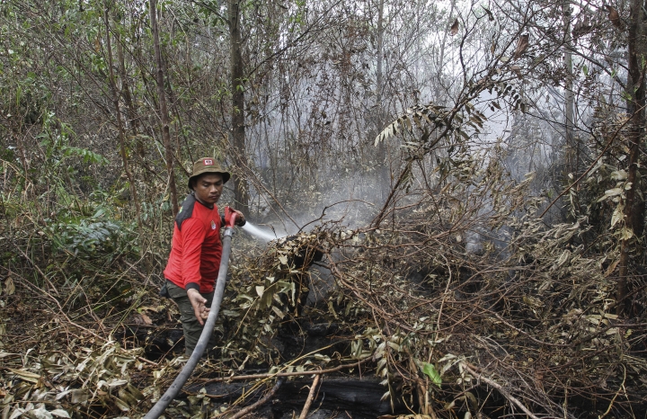Indonesia mobilizes to combat health-damaging forest fires
